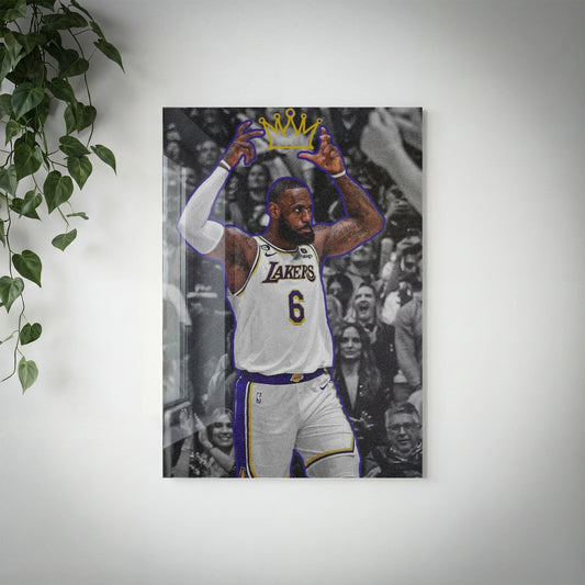 BAS - Lebron James - V4