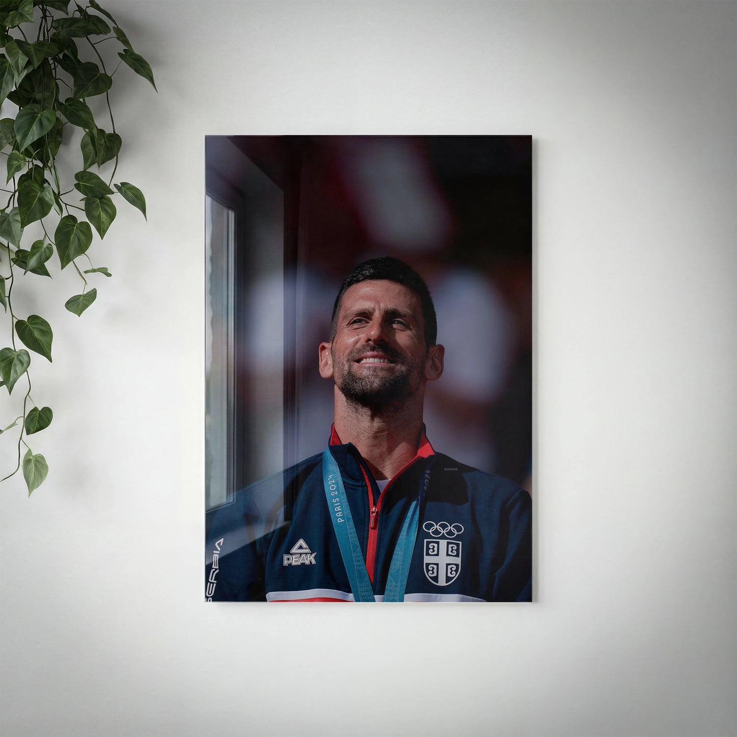 TEN - Novak Djokovic - V1