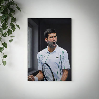 TEN - Novak Djokovic - V2