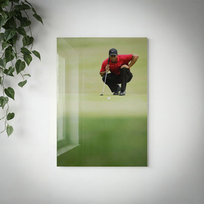 GOLF - Tiger Woods - V2