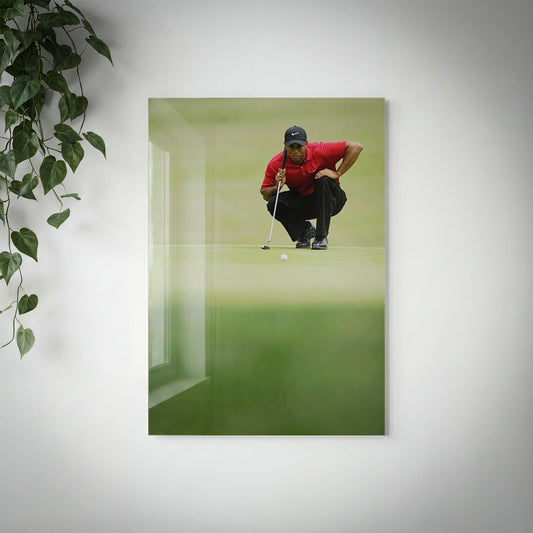 GOLF - Tiger Woods - V2