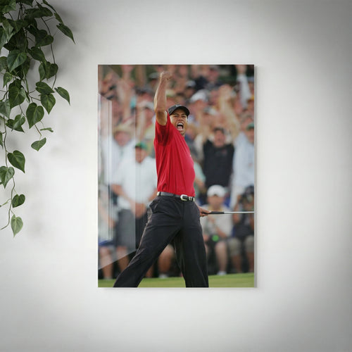GOLF - Tiger Woods - V3