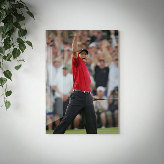 GOLF - Tiger Woods - V3
